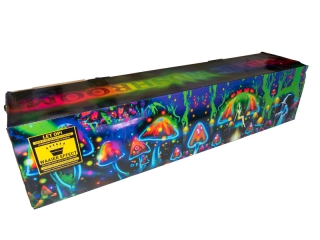 Magic Mushroom